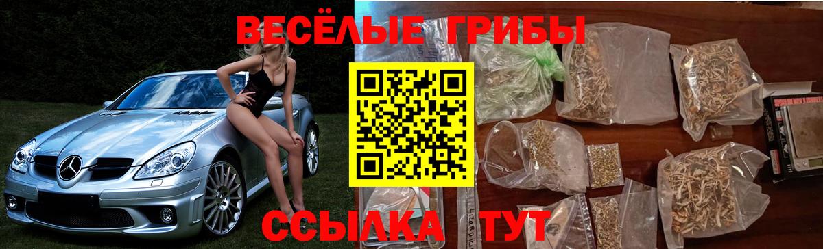 Псилоцибиновые грибы ЛСД Москва